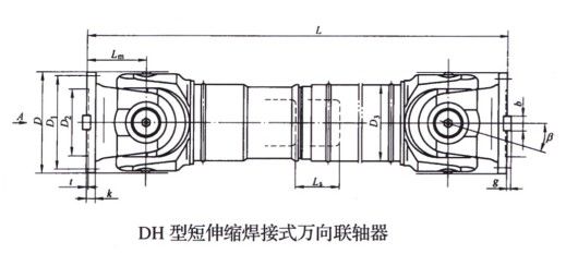 DH型短伸缩焊接式万向羞羞视频在线观看入口